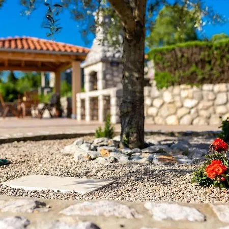 David & Matej Comfortable *